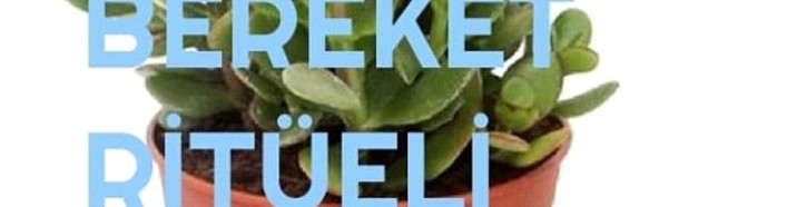 Para,Bolluk,Bereket Ritüeli
