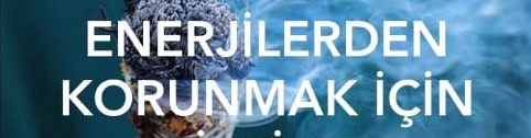 OLUMSUZ ENERJİLERDEN KORUNMAK İÇİN KULLANABİLECEĞİNİZ BİTKİLER
