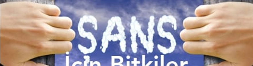 ŞANSINIZI ARTTIRMAK  İÇİN KULLANILABİLECEĞİNİZ BİTKİLER