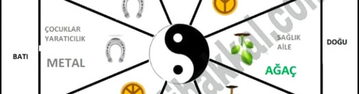 Bagua Gayeleri
