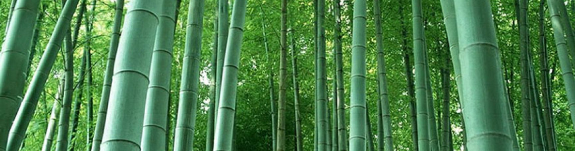 Bambu Tütsüsü