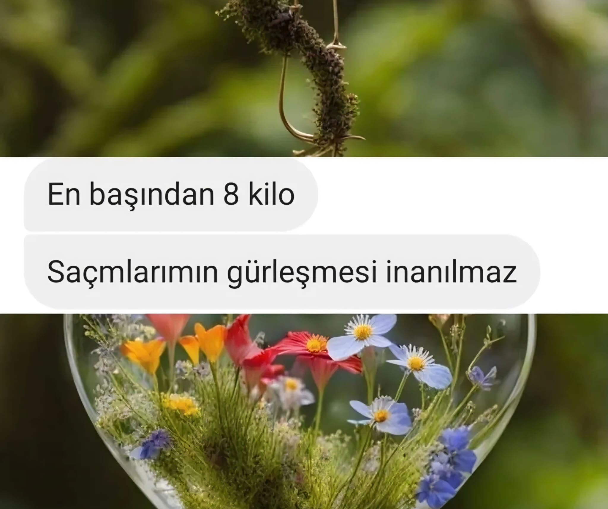 Image Caption