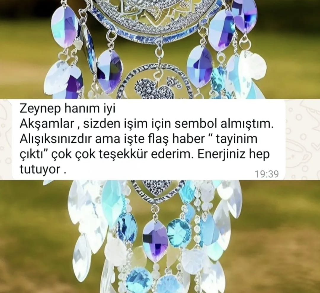 Image Caption